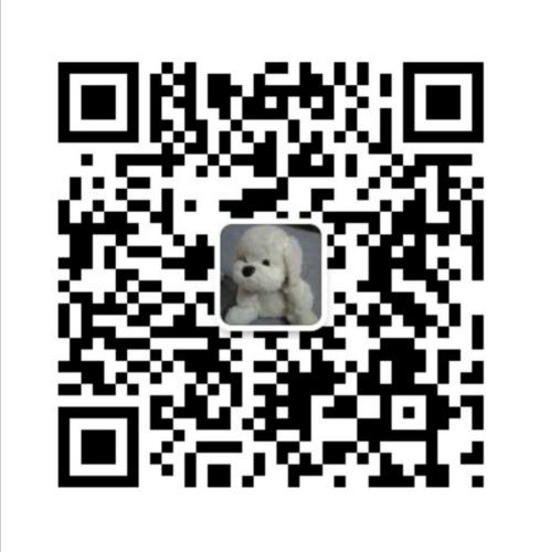 张雯雯2.png