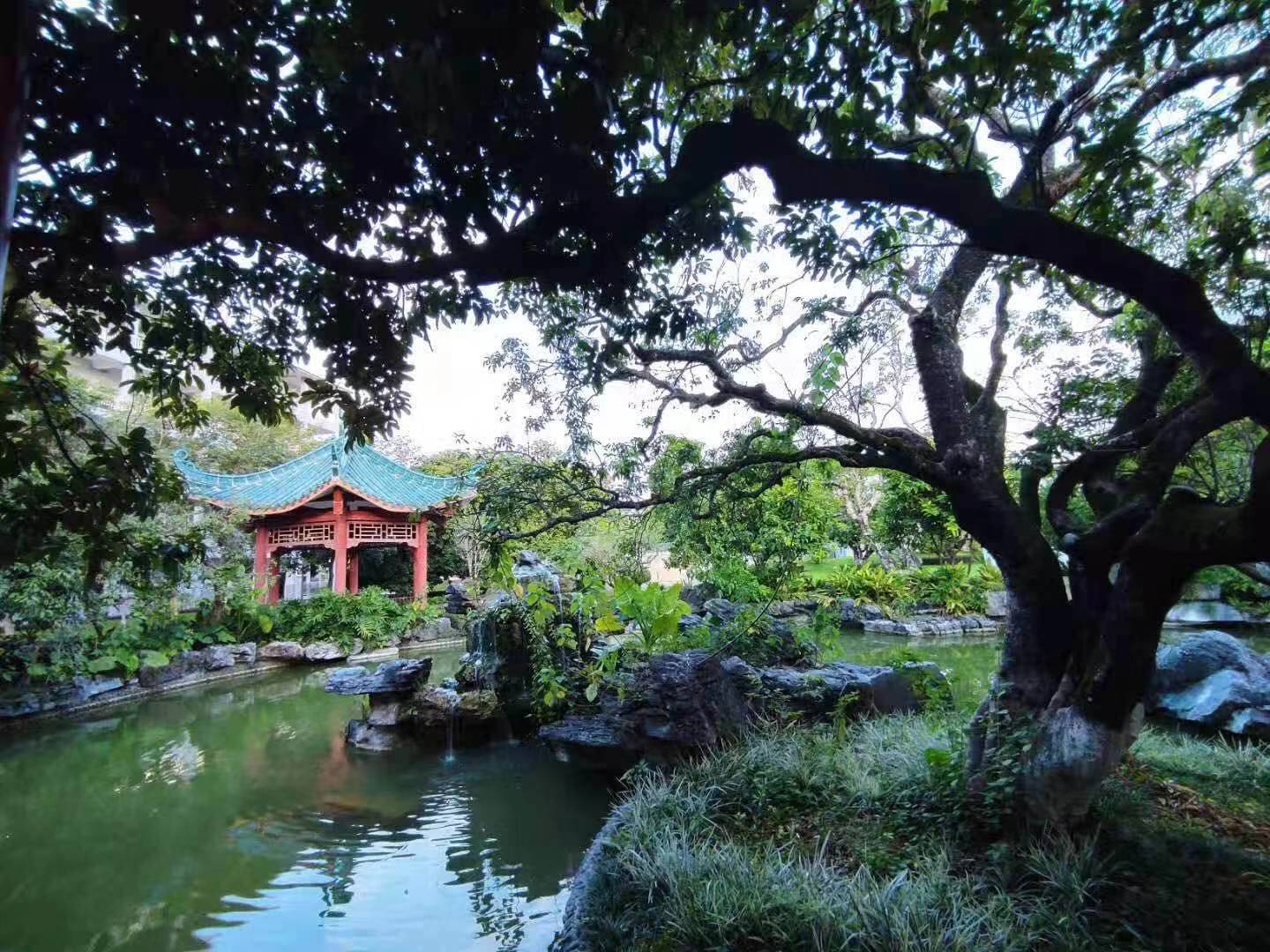 1612351279294075439.jpg 微信图片_20210203185707.jpg