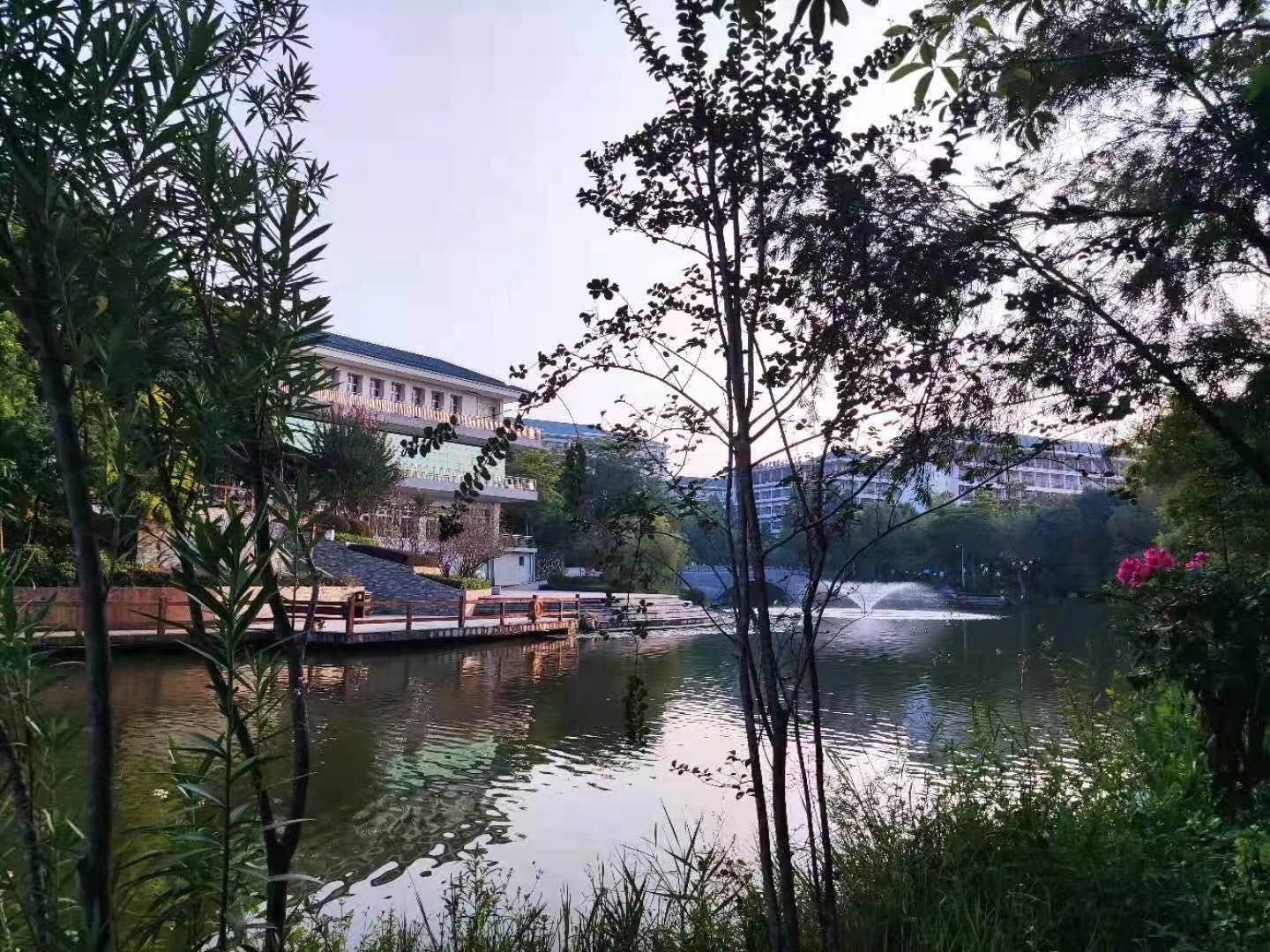 1612351482311030993.jpg 微信图片_20210203185735.jpg