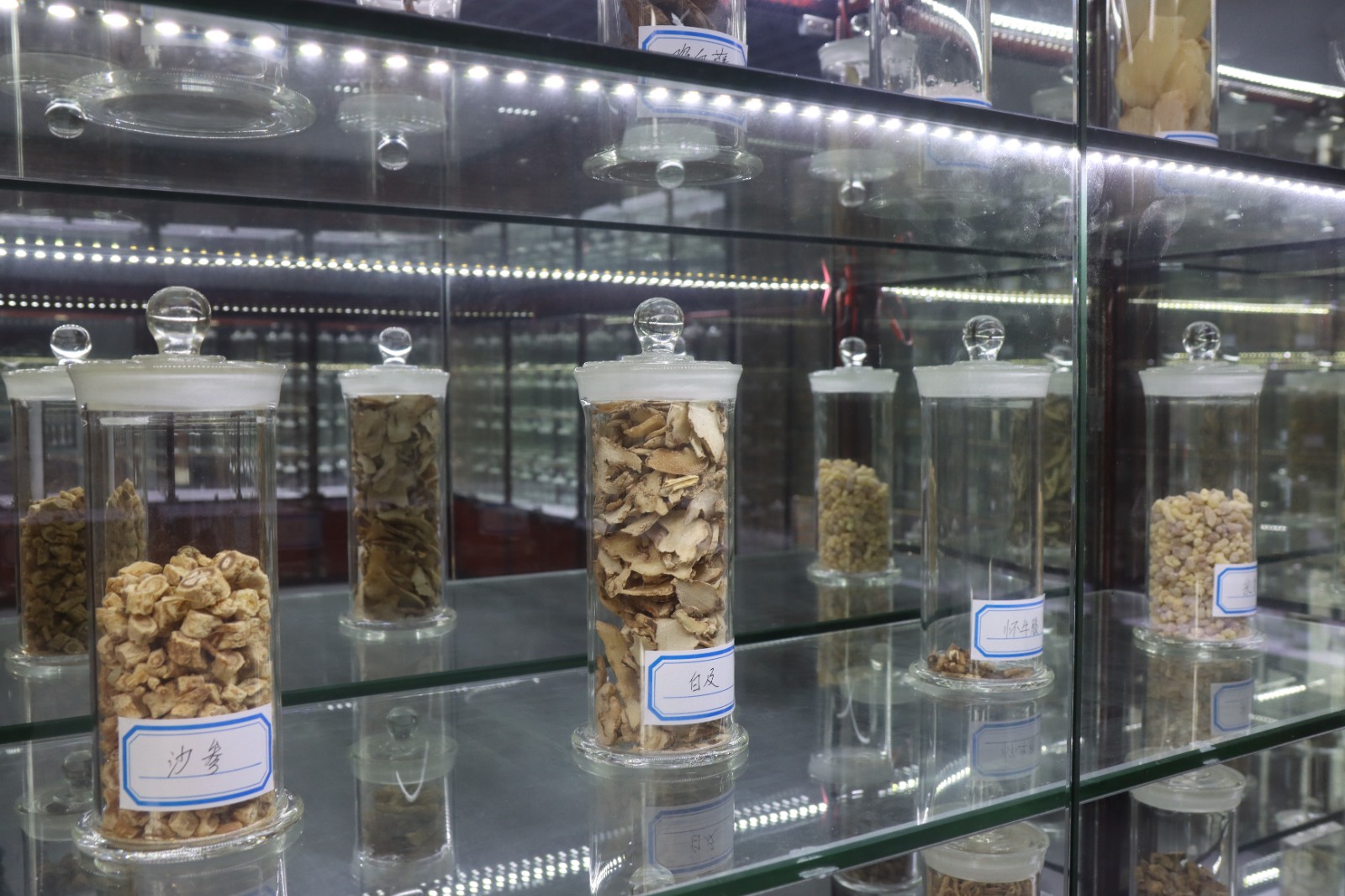 1641543938956061369.jpg 1641543938956061369.jpg