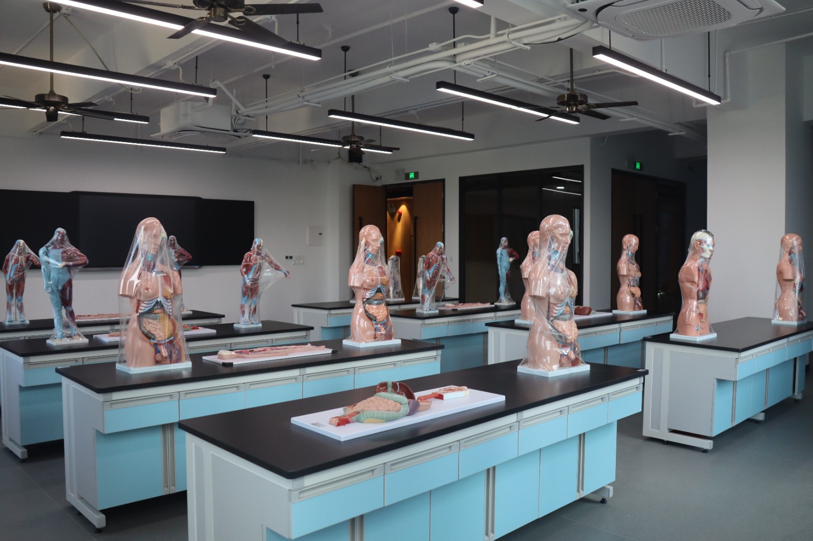 1641543939520013635.jpg 1641543939520013635.jpg