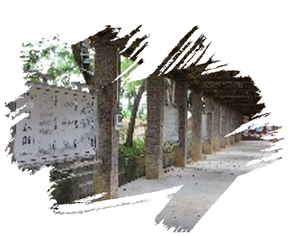 1645280521135041760.png