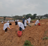 1648465581610002607.png 1648465581610002607.png