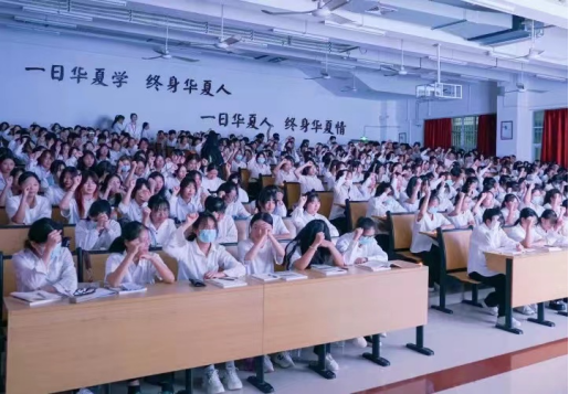 wps11.png