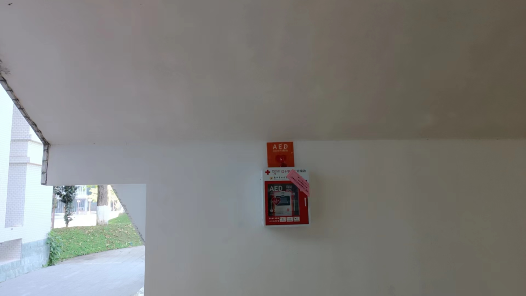 1702613512472016019.png