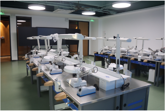 1710753367556039496.png image.png