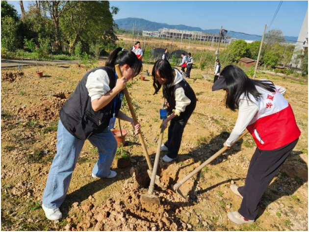 1711069196983060378.png image.png