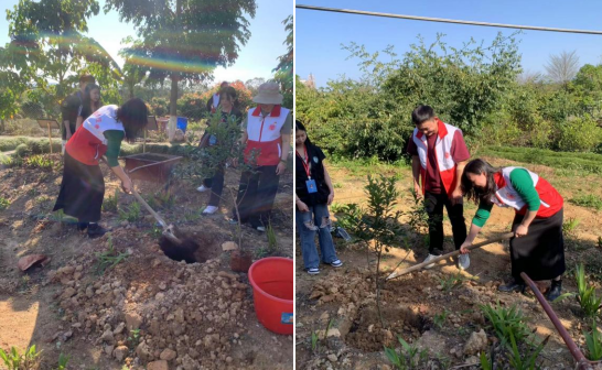 1711069286061010041.png image.png