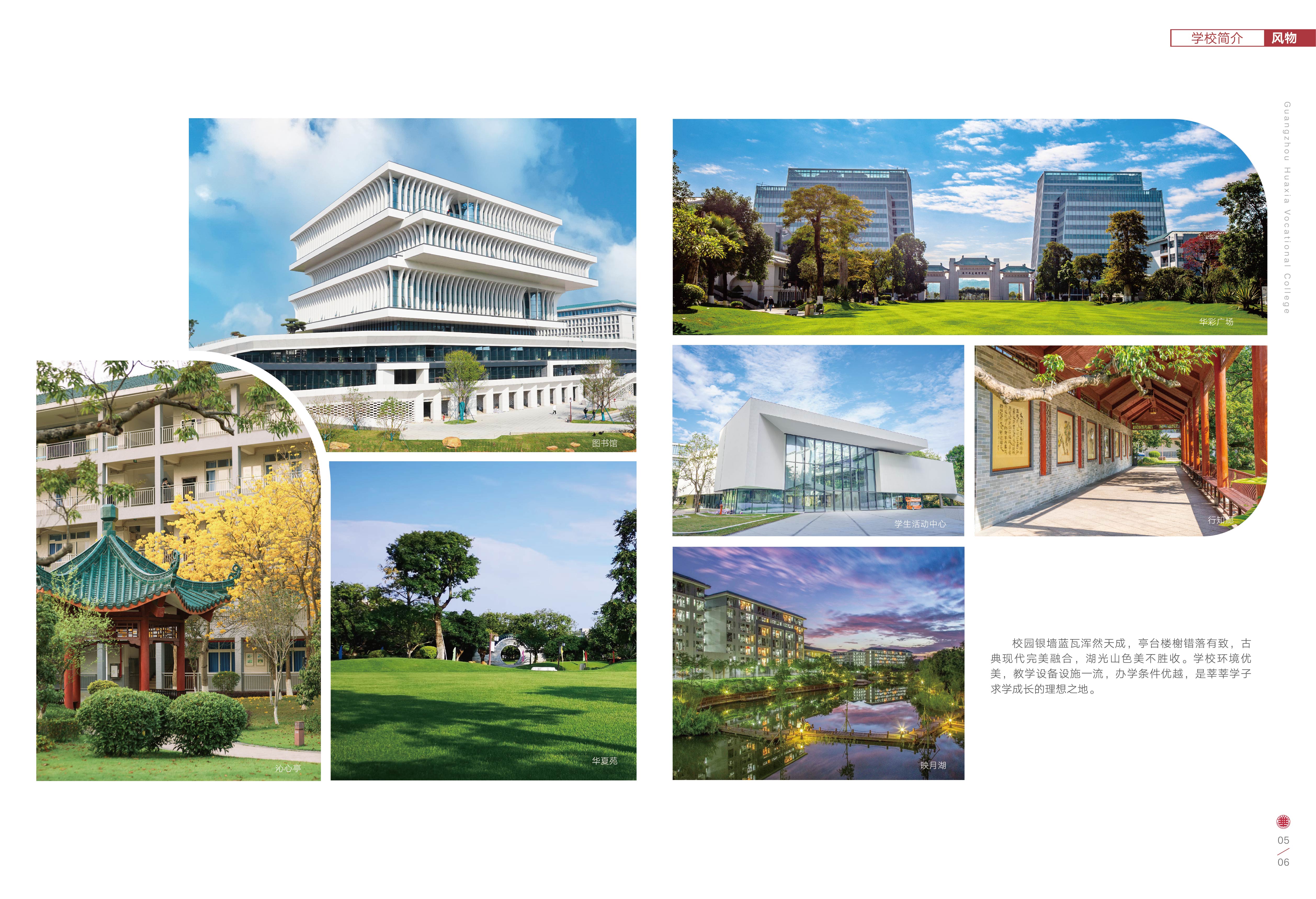 03-06学校简介_画板 1 副本 6.jpg