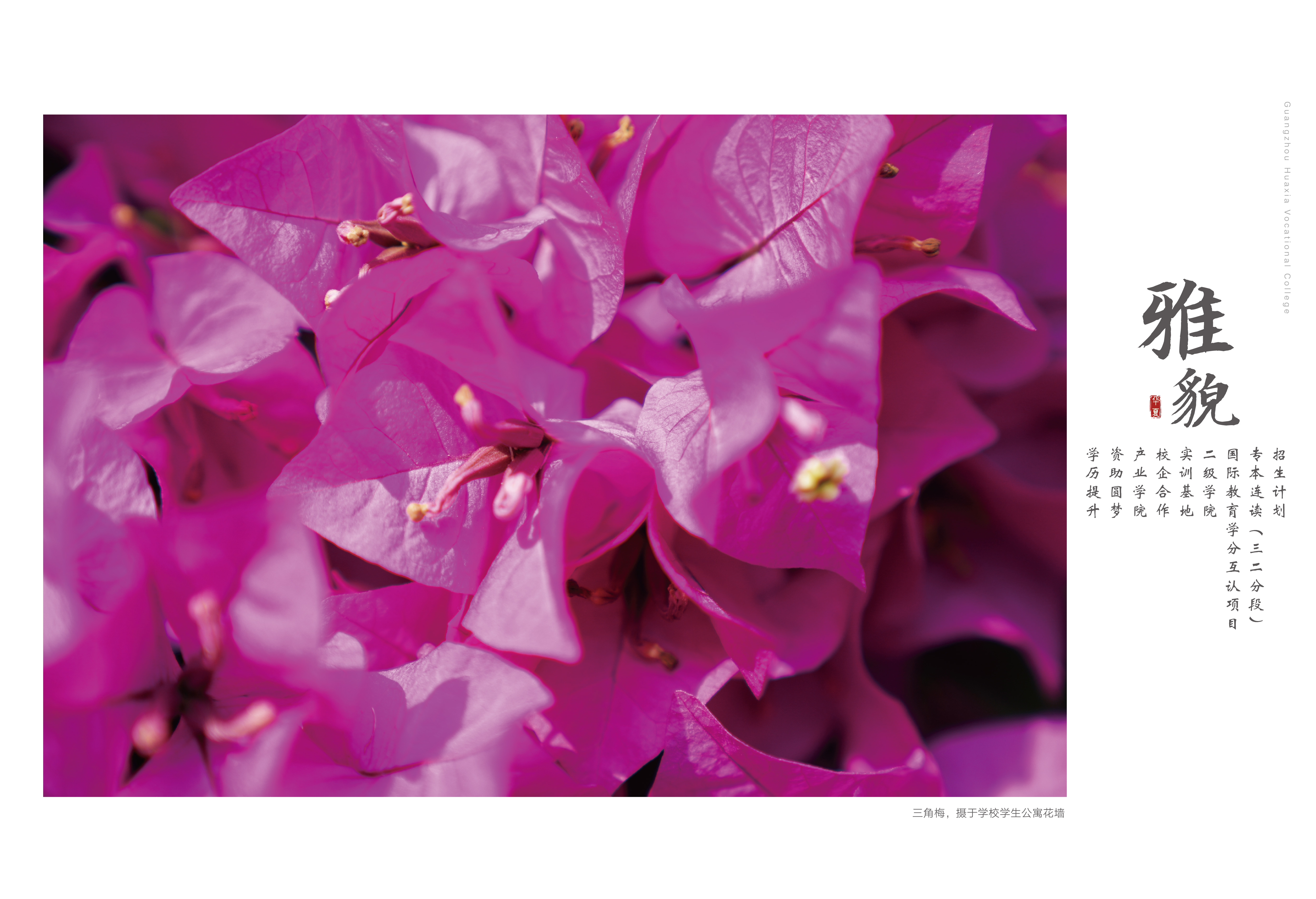 风雅颂_画板 1 副本.jpg