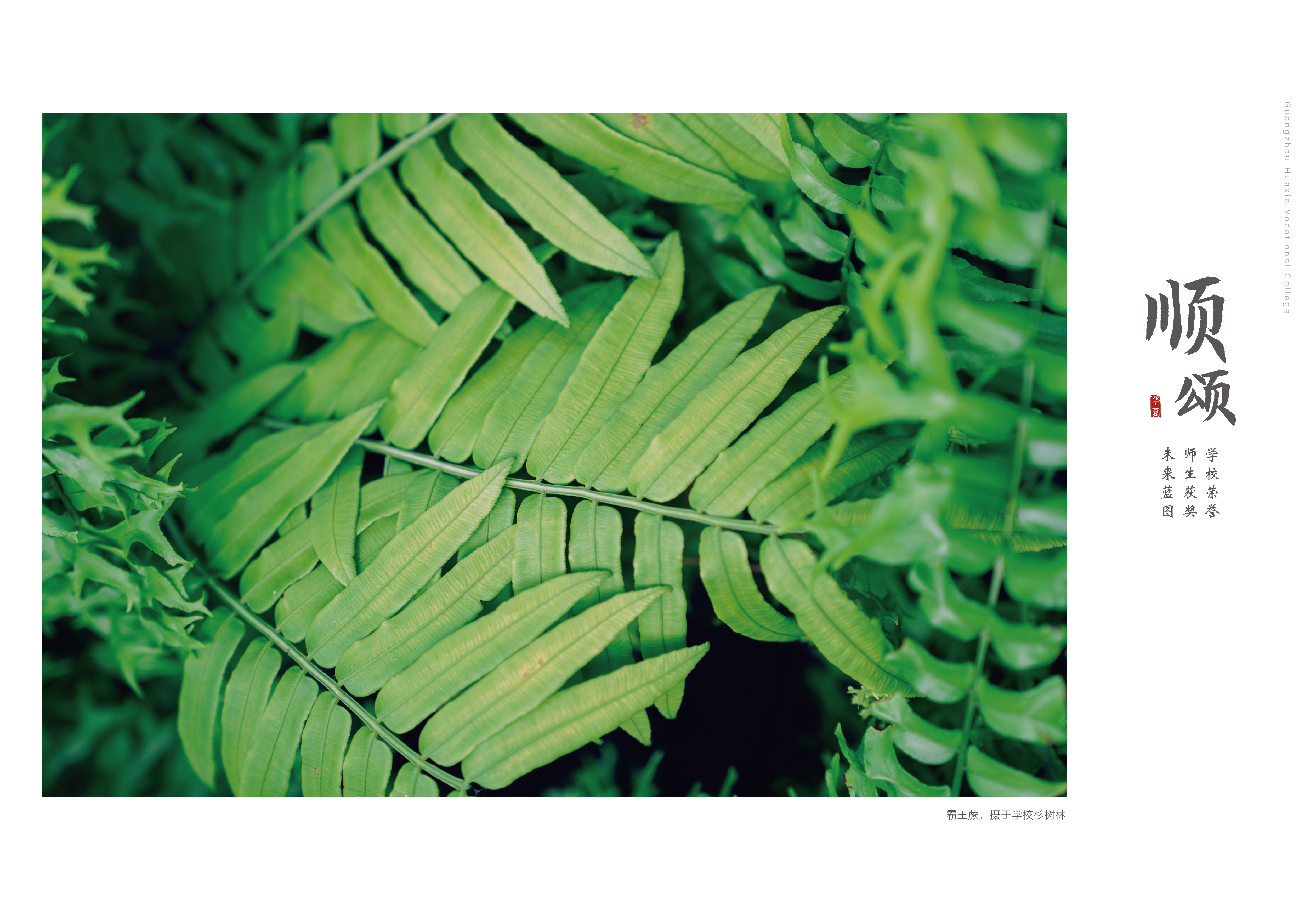 风雅颂_画板 1 副本 2.jpg