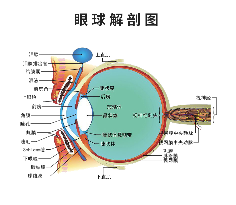 微信图片_20240517095312.jpg