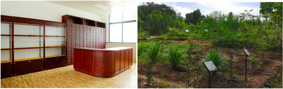 1718704492390035457.png image.png