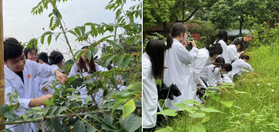 1718704638970011637.png image.png