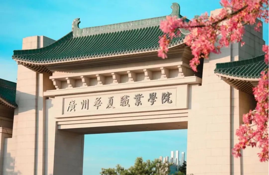 1718705043291042928.png image.png