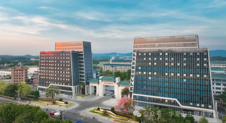 1718705058490007851.png image.png