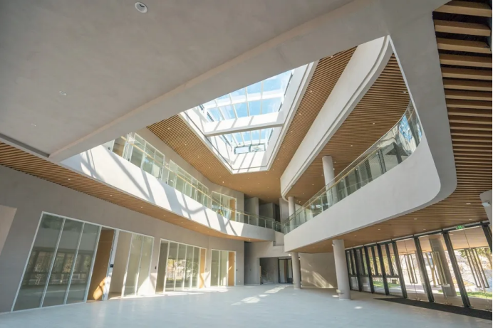 1733414504267037077.png 1733414504267037077.png