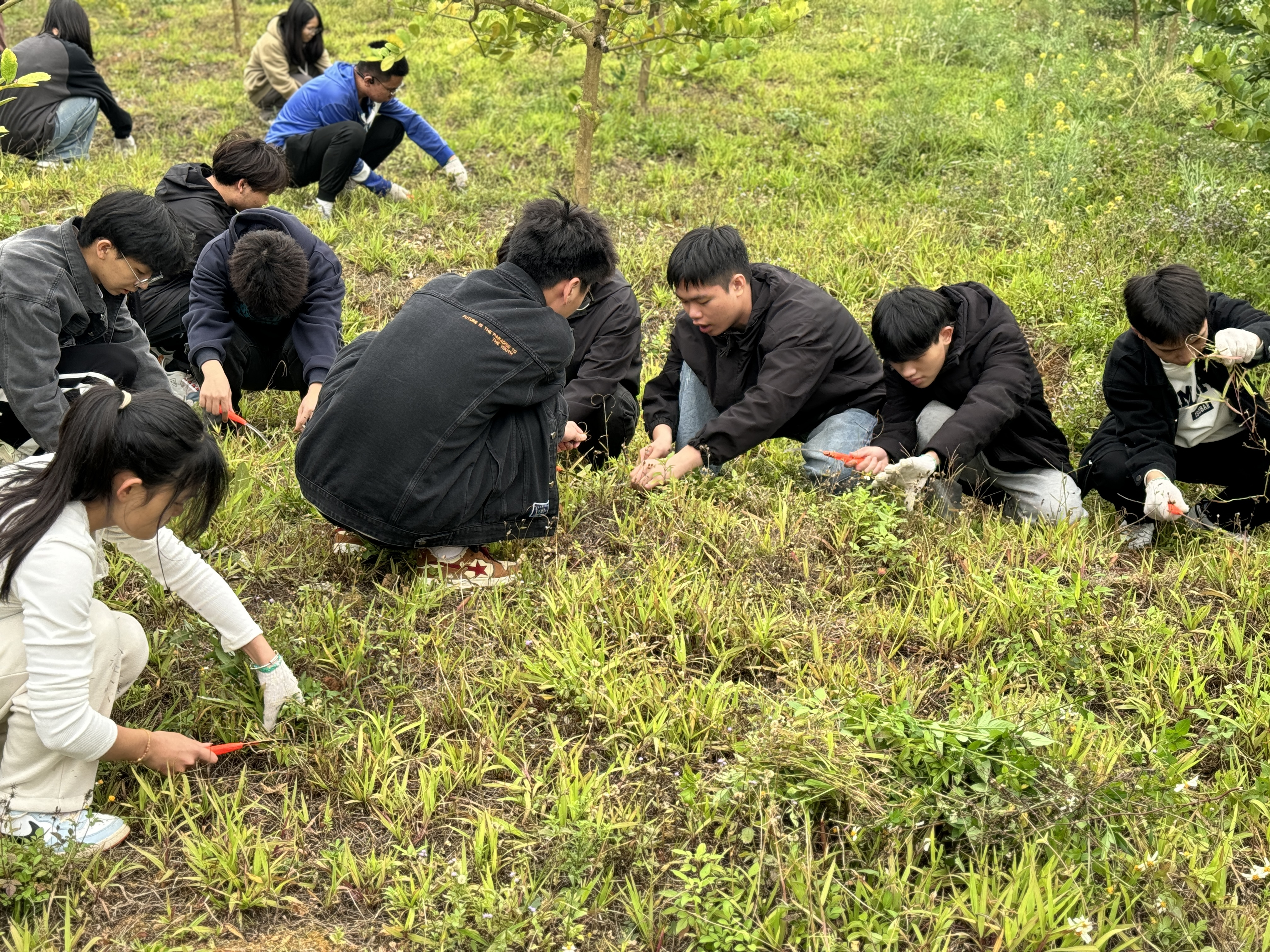 1753583257124026785.png 1753583257124026785.png