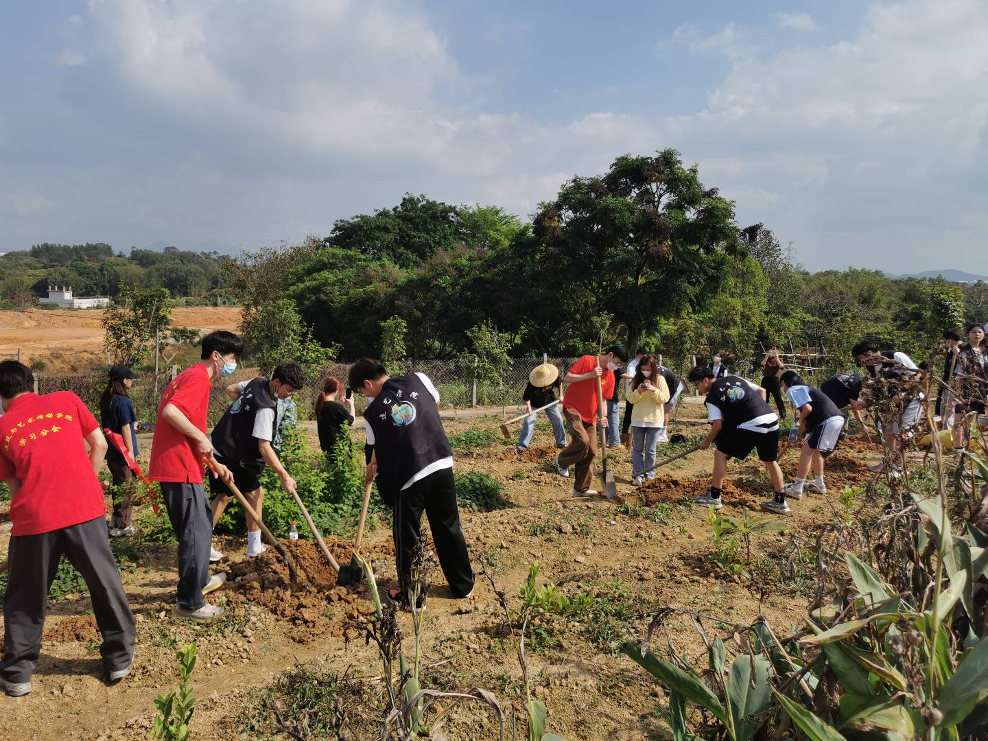 1753583259948057944.png 1753583259948057944.png