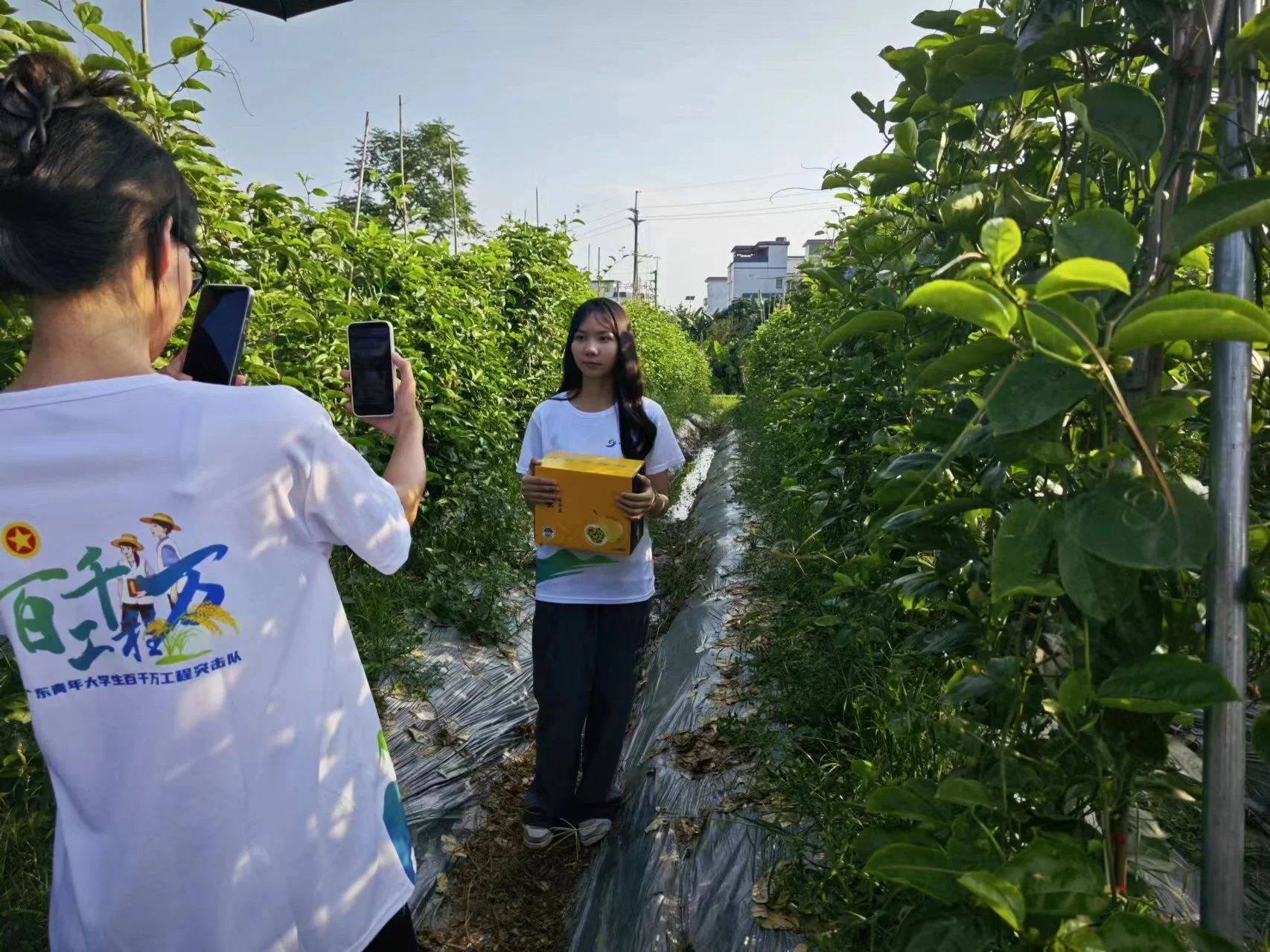 1753583691450052538.png 1753583691450052538.png