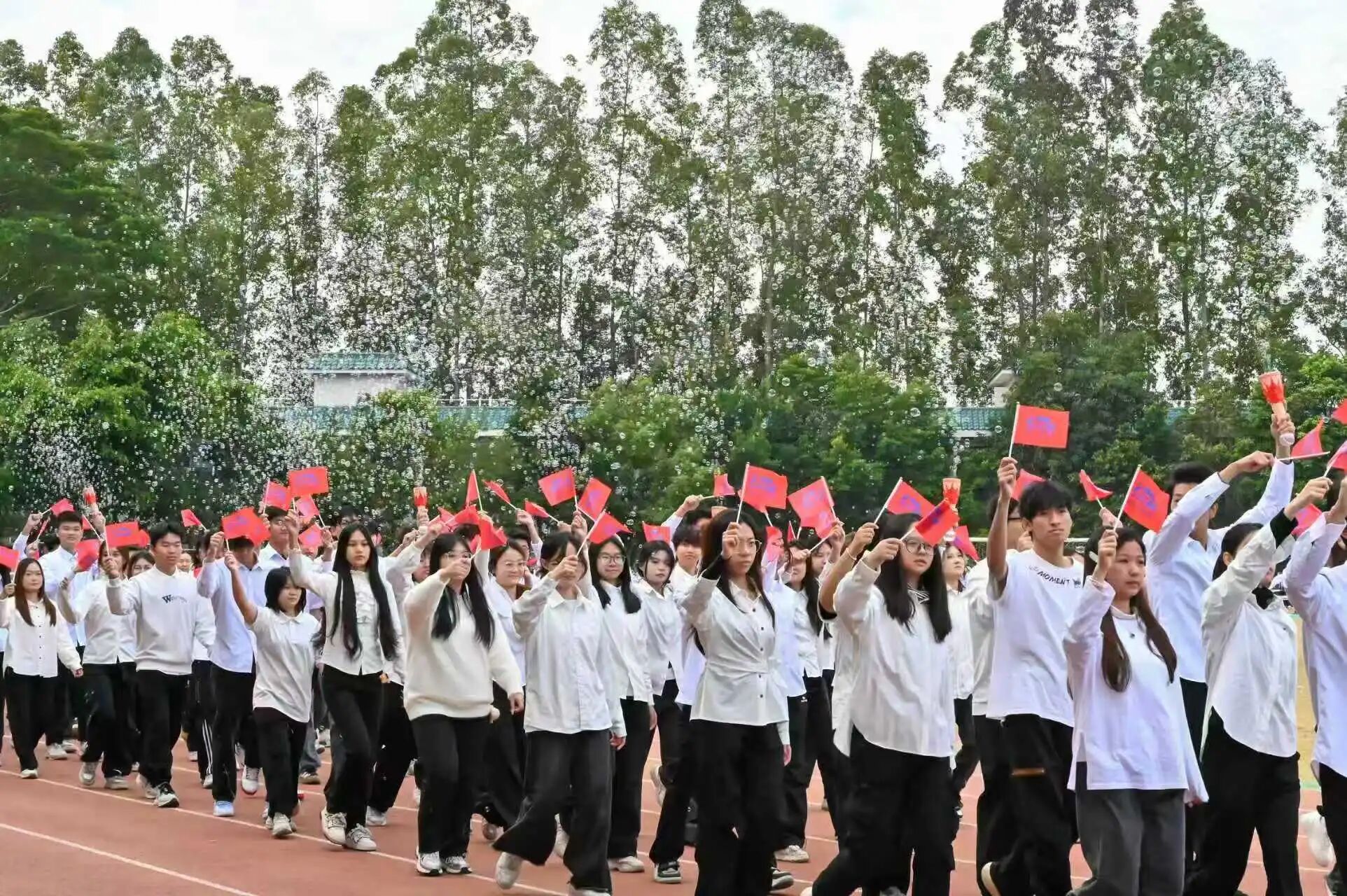 1765892572889082186.jpg 1765892572889082186.jpg