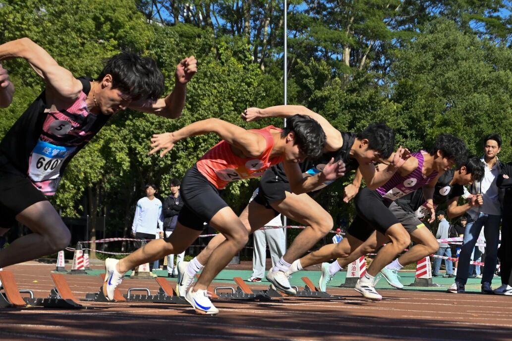 1765892686726071408.jpg 1765892686726071408.jpg