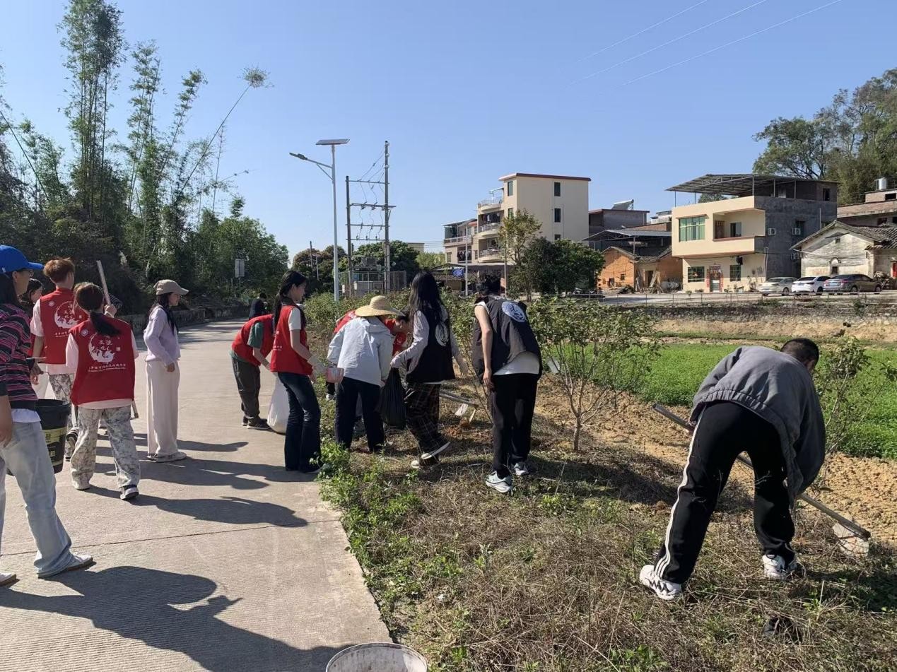 1773497694778005590.jpg 图片4.jpg