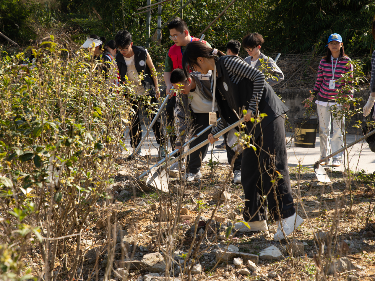 1773497727402023394.png 图片5.png